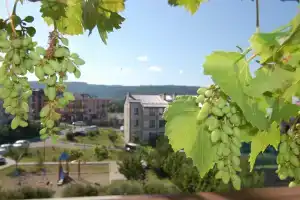 Квартира с видом на Дивноморск, Дивноморское