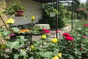 Домик с цветущим садом, Кисловодск