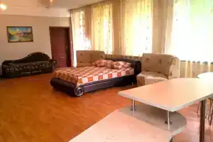 Большая студия со своим двориком