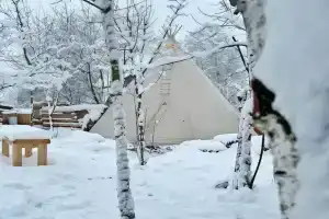 Семейная мини-ферма Фазенда в Рузском районе