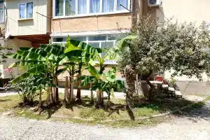 Комфортабельная квартира в центре курорта