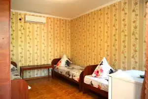 Стандартный номер на троих, Николаевка