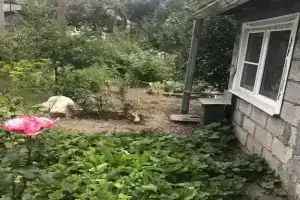 Домик с видом на горы, Теберда