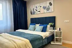 Современная студия, Владимир