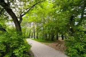 Уютная квартира в Студгородке