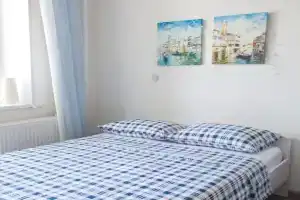 Студия, Владимир
