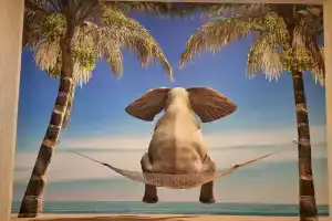 Апартаменты Гнездо Слона