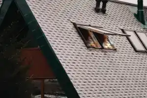 Спринг Вилладж в Каменногорском районе