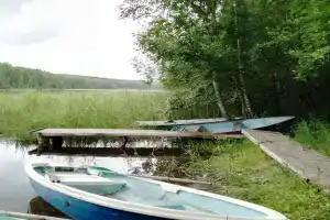 Домик в лесу