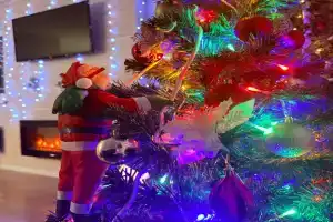 Гостевой дом «Ladoga Dreams»