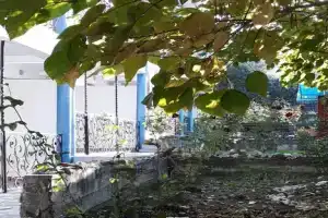 Гостевой дом «Золотая балка», Коктебель