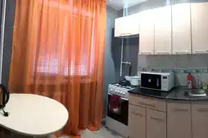 1-комнатная квартира в центре