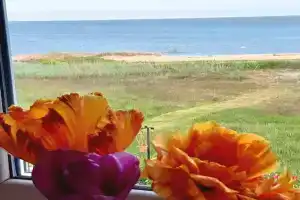 Дом с видом на залив, Морское