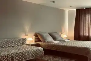 Dzen.narochЦены с 28.12-8.01 фиксированные до 8 гостей