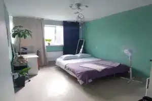 Уютная 2-кквартира рядом с метро пионерская и медцентром алмазова, Санкт-Петербург