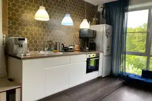 Студия, Адлер