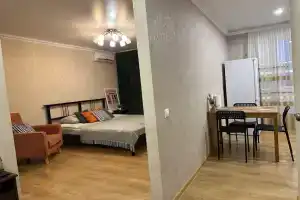 Уютная квартира-студия в новом доме