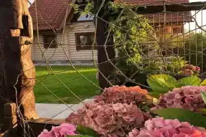 Снять дом посуточно