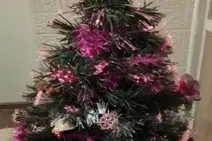 Уютная квартира в цветнике