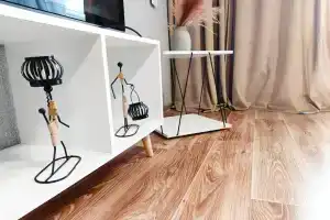 Студия Африка в центре
