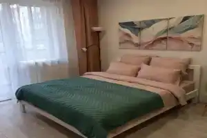 Студия в Ленинградской области