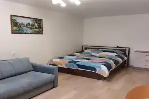 Уютная однокомнатная квартира в Центральной части города