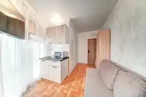 Двухместный номер с 1 кроватью эконом, Головинка