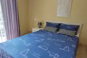 Апартаменты Сочинские котики, Хоста