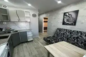 Клюква однокомнатная квартира, Пойковский