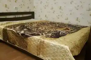 Уютная и очень чистая квартира после ремонта, Пятигорск