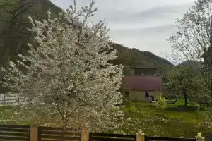 Квартира с 2-мя спальнями в самом центре курорта Красная Поляна