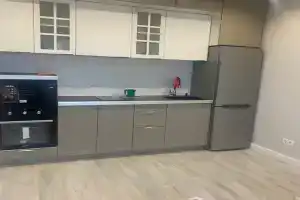 Чистая студия на красной ветке, Москва