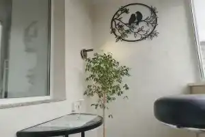 Квартира в зелёной зоне