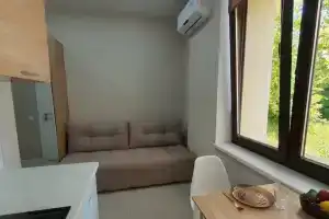 Студия, Адлер