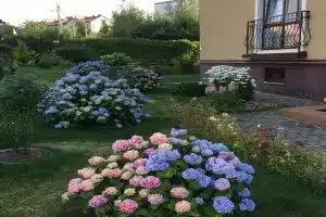 Квартира Янтарная долина, Светлогорск