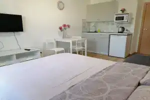 Квартира рядом с НМИЦ онкологии имени Петрова, Песочный