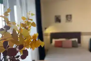 Студия в центре с видом на Северную Двину