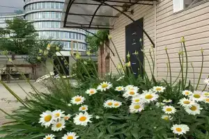 Просторный коттедж на Ружейной 78, Адлер