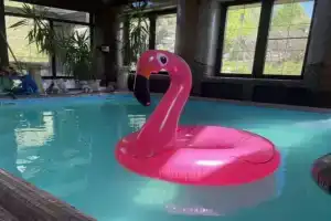 Сказка Выползово, Солотча