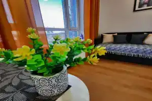 Студия рядом с метро Золотая Нива, Новосибирск