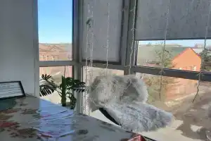 Студия с панорамными окнами, Спасск-Дальний