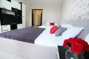 Большая квартира у спорткомплекса гран-при и мед. центра Олимп, Воронеж