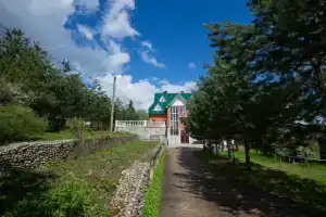 Большой трехэтажный дом, Якунино
