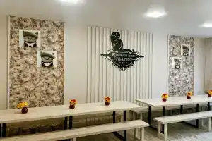 Кошкин дом в Комарово