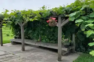 Дом «Белый Кролик», Новополоцк