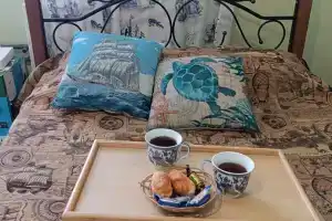 Морской Тульский бриз, Тула