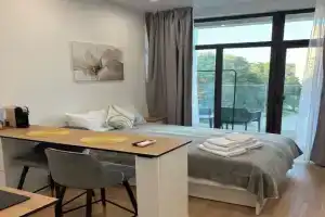 Апартаменты - студия у моря 521, Зеленогорск