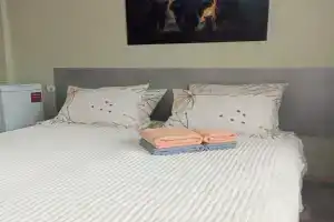 Студия с видом на монастырь, Истра