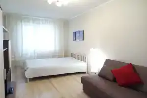 1-комнатная квартира, Великий Новгород