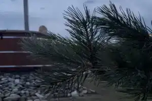 Ваш уютный уголок на Байкале, Байкальск